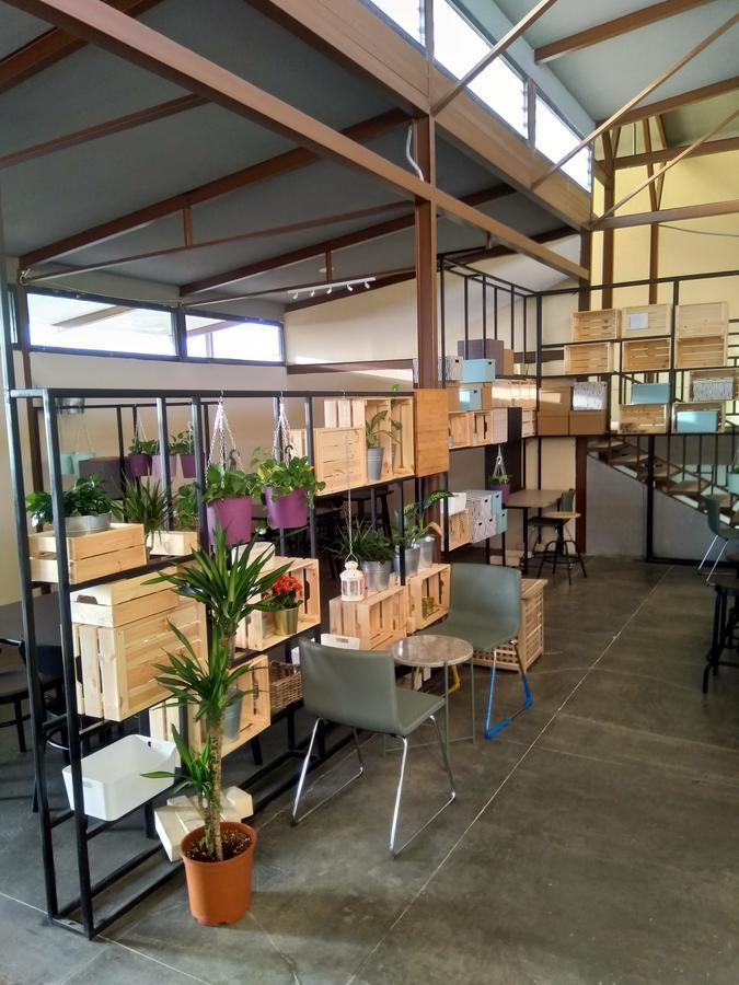Beit Al Ward Βίλα Ash Shafā Εξωτερικό φωτογραφία